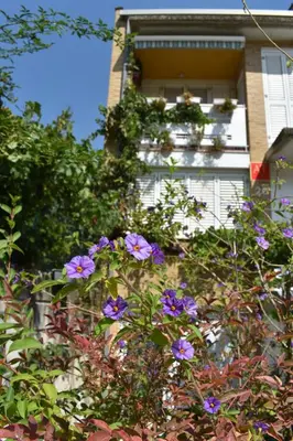 Jardín al aire libre en Chalet Baldissera