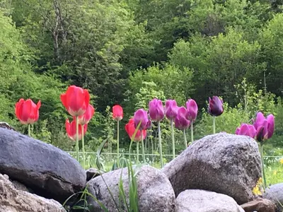 Jardín al aire libre en Casa Aranesa