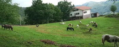 Animales en the country house o alrededores