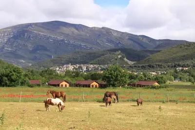Animales en el camping o alrededores