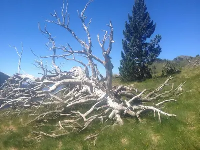 Paisaje cerca de este hotel
