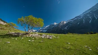 Paisaje cerca of this country house
