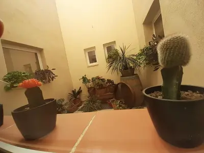 Plano de Casa La Foradada