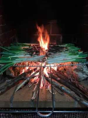 Barbacoa disponible para clientes en el hotel