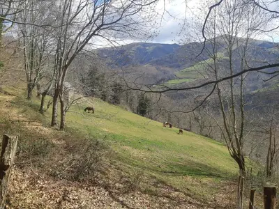 Paisaje cerca of this country house