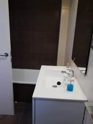 Un baño de Pleta del Mon Atico