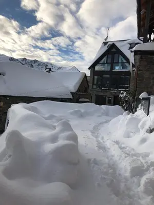 Zoe en invierno