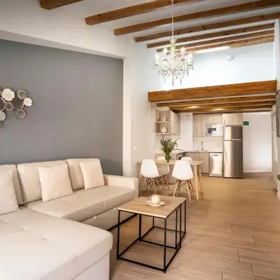 Apartamentos Terraza Ega