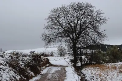 Casa Rural del Aire | Torrellas. Tarazona/Moncayo en invierno