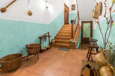 Plano de CASA MICOLAU