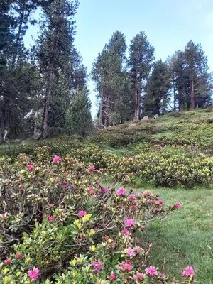 Jardín al aire libre en CASA MARCOS