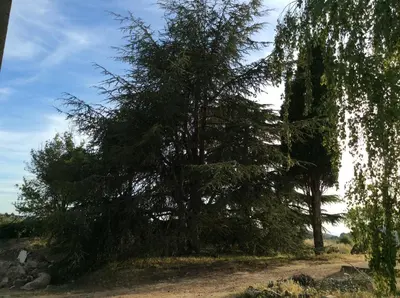 Jardín al aire libre en La Caseta Vella