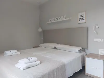 Cama o camas de una habitación en Apartamentos Ordesa Ainsa