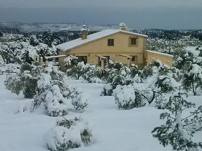 Mas Arboretum en invierno