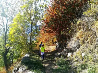 Paisaje cerca de este apartamento