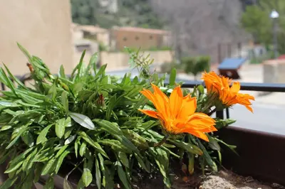 Jardín al aire libre en Ca L´Ángels
