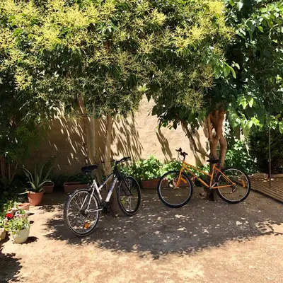 Montar en bicicleta en Casa Solariega o alrededores