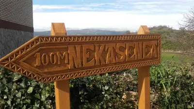Plano de Nekasenea II