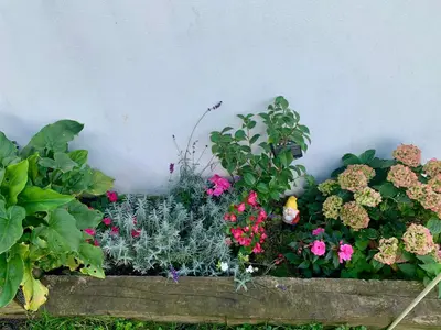 Jardín al aire libre en Apartamentos Zabalarena Ola