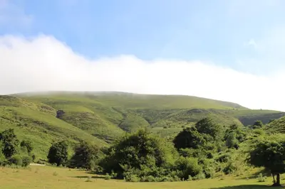 Paisaje cerca de este apartamento