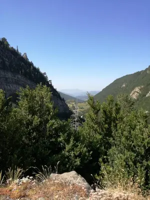 Paisaje cerca de este apartamento