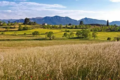 Paisaje cerca de este hostal o pensión