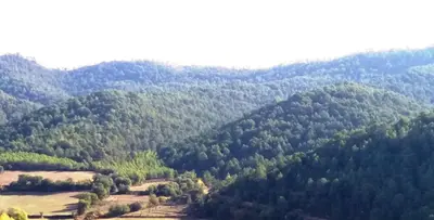 Paisaje cerca of this country house