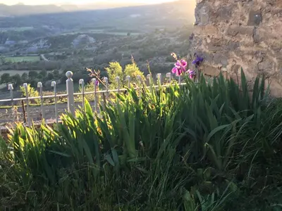Paisaje cerca of this country house
