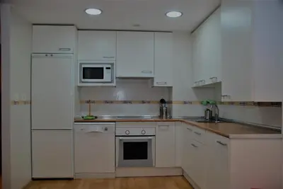 Una cocina o zona de cocina en TU APARTAMENTO EN EL VALLE DE TENA en ESCARRILLA