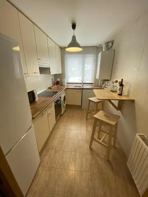 Una cocina o zona de cocina en Fantástico Apartamento con jardín en Castiello de Jaca VUT HU-20-007