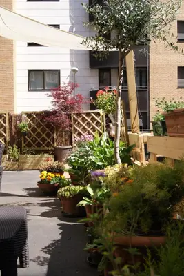 Jardín al aire libre en Aloha Hostel