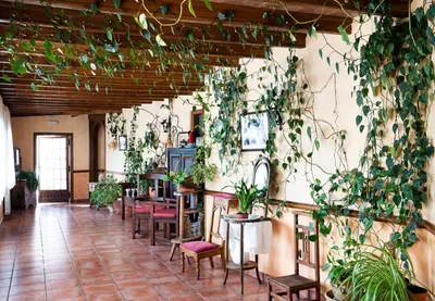 Zona de estar de Hotel Venta La Pintada
