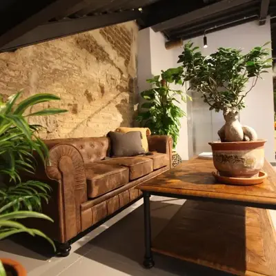 VTZ The Botanic Hostel