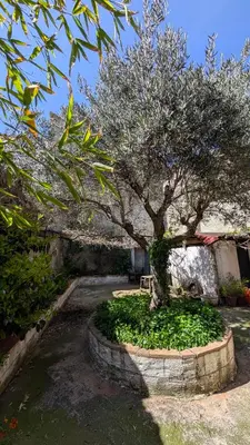 Jardín al aire libre en Casa rural Casaplana, hasta 23pax, con piscina, Zona Prepirineo aragonés