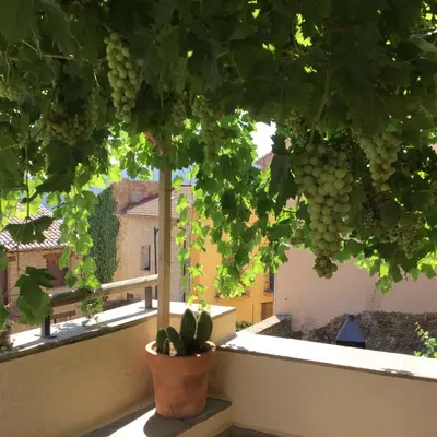 Jardín al aire libre en Casa Lucas
