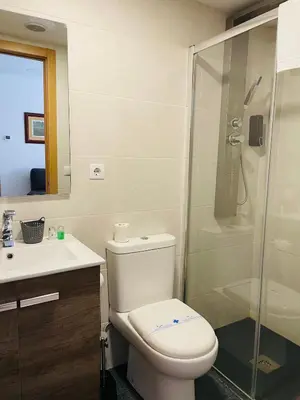 Un baño de APARTAHOTEL CANFRANC