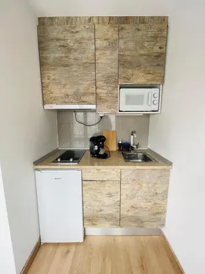 Una cocina o zona de cocina en APARTAHOTEL CANFRANC