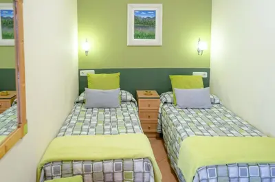 Cama o camas de una habitación en Apartaments La Bonaigua