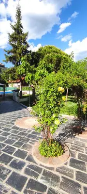 Jardín al aire libre en LAS AMAPOLAS
