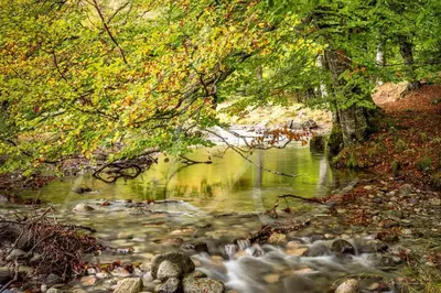 Paisaje cerca de este apartamento