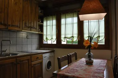 Una cocina o zona de cocina en Apartamentos Los Pirineos - Atencion personal