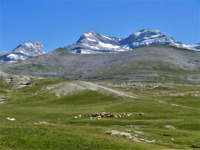 Paisaje cerca de este apartamento