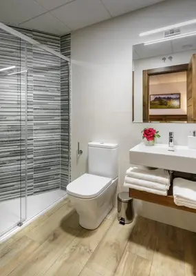 Un baño de Hostal Bosque de Gamueta