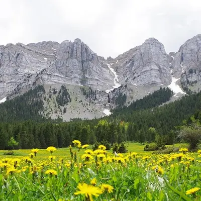 Paisaje cerca de este apartamento