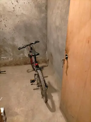 Montar en bicicleta en Apartamento boltaña o alrededores