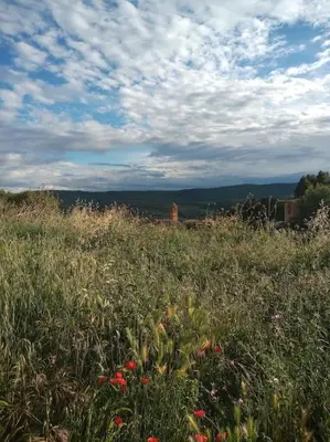 Paisaje cerca de este apartamento