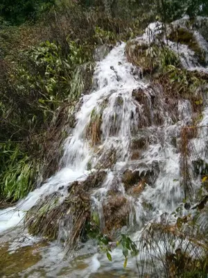 Paisaje cerca de este agroturismo