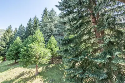 Paisaje cerca de este apartamento