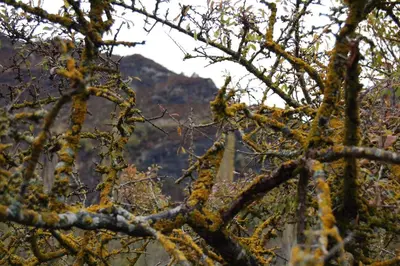 Paisaje cerca de este apartamento
