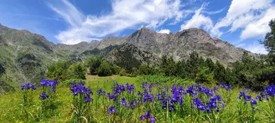 Paisaje cerca de este apartamento